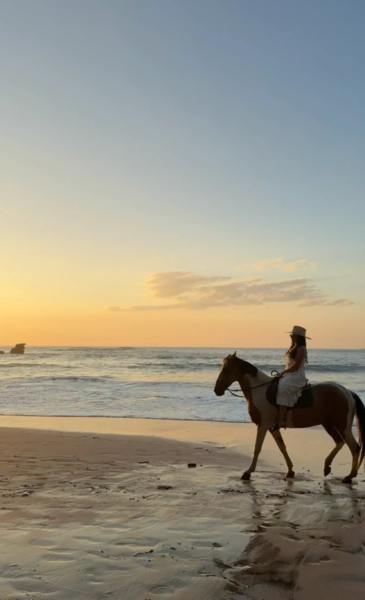 Horseback on the beach at sunset