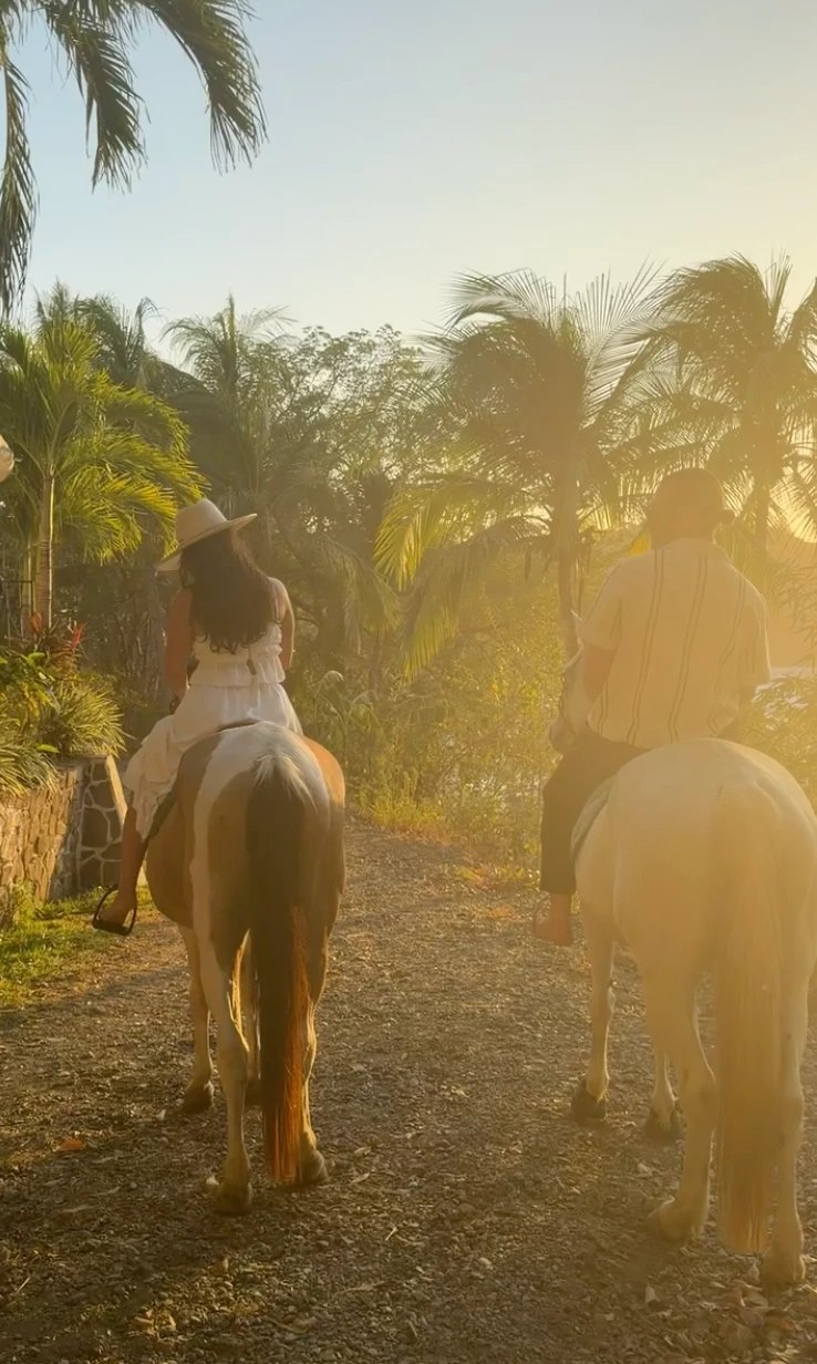 Riding out through the palms at golden hour