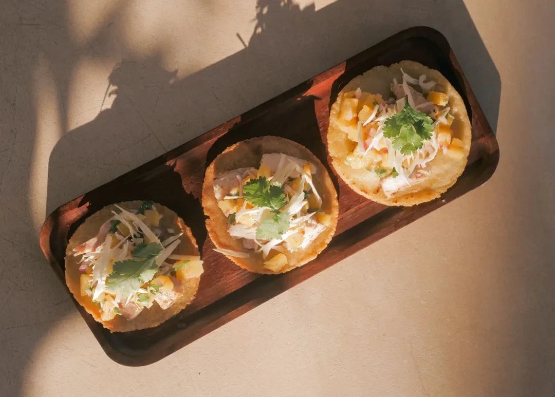 Fish tacos in the afternoon light